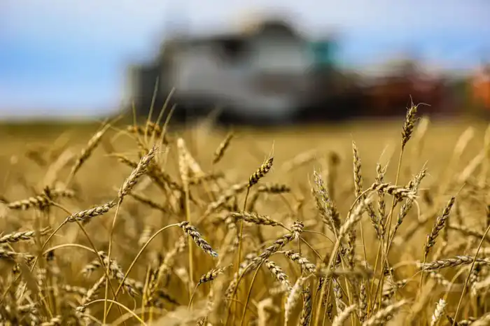 На заседании правительства Казахстана обсуждают проекты глубокой переработки АПК и открытие завода в Жамбылской области Астане