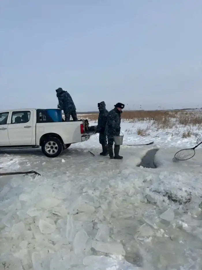 В Северо-Казахстанской области проводятся мероприятия по аэрации озёр с целью предотвращения замора рыбы (4)