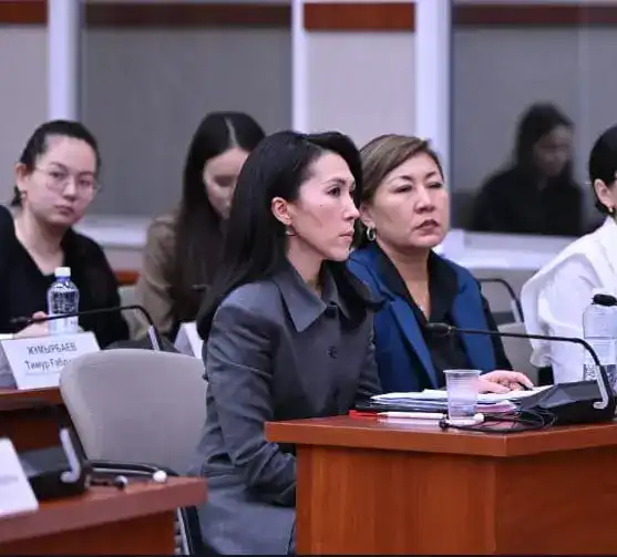 Обсуждение проекта новой Конституции: Вице-министр юстиции акцентирует на важности взаимодействия с политическими партиями Астане