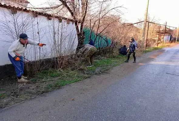 Благоустройство Сарыагаша: формирование культуры заботы о природе среди жителей Астане