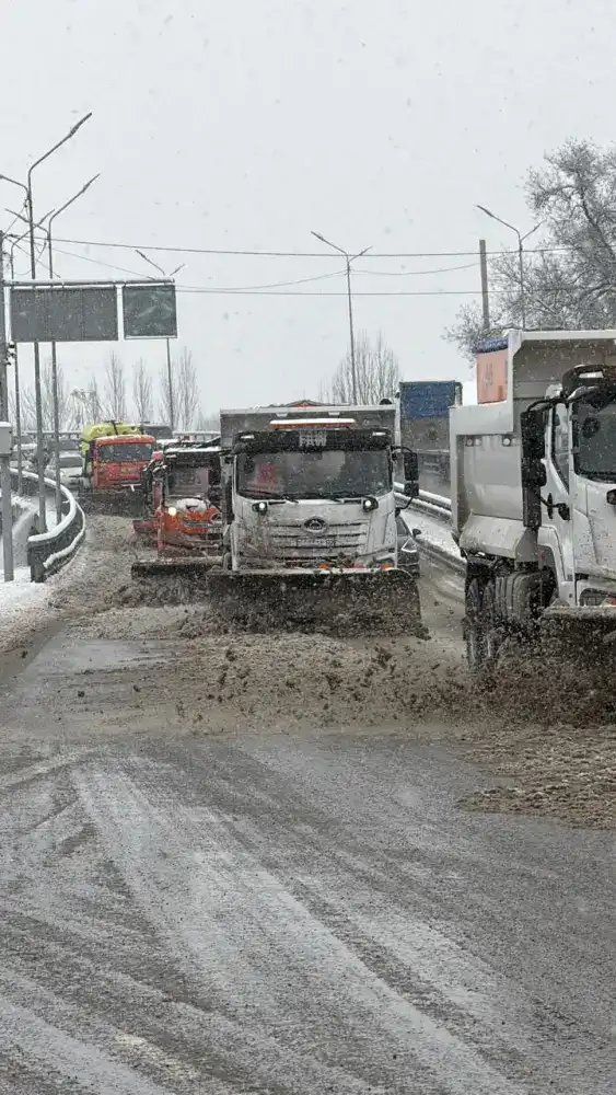 Более 4 тыс. рабочих и 1250 единиц техники: Алматы в четвертый раз за сутки проводит сплошную очистку улиц (3)