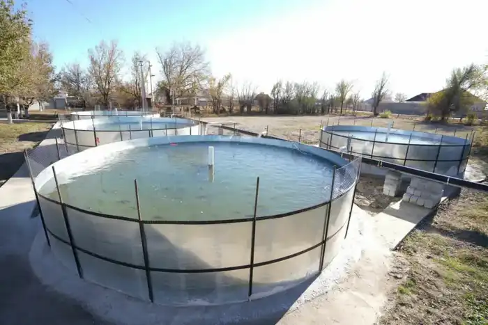 В ТУРКЕСТАНСКОЙ ОБЛАСТИ ПРЕДПРИНИМАТЕЛЯМ РАЗЪЯСНИЛИ МЕРЫ ГОСПРОДДЕРЖКИ ПО РАЗВИТИЮ РЫБНОГО ХОЗЯЙСТВА (4)