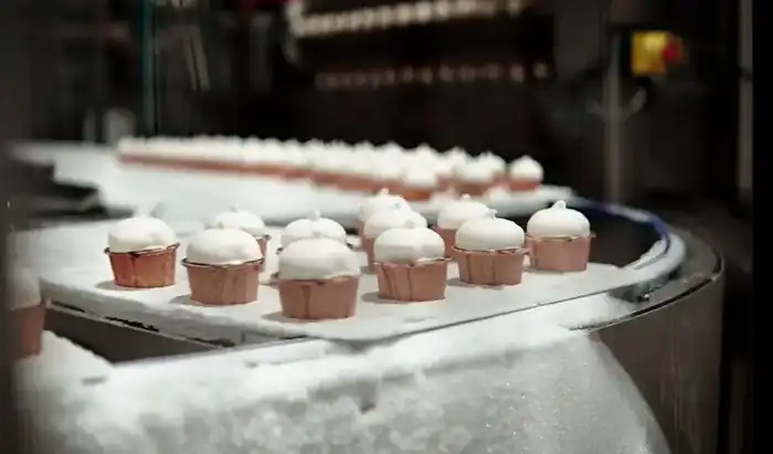 Впервые экспорт превысил импорт: исторический рубеж для казахстанской отрасли мороженого (3)