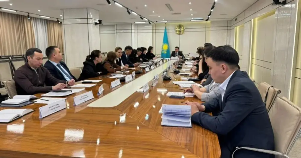 Заседание комиссии по правам детей в Астане Астане