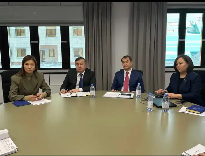Министр финансов РК обсудил налоговое законодательство и поддержку людей с ограниченными возможностями Астане