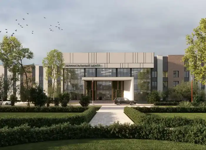 В Кызылорде построят новые поликлиники и перинатальный центр (10)