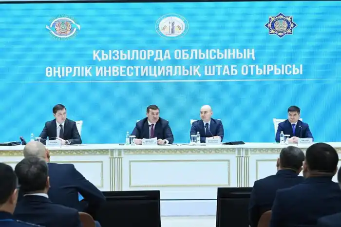 В Кызылординской области обсуждено взаимодействие госорганов по вопросу привлечения инвестиций в экономику региона (9)