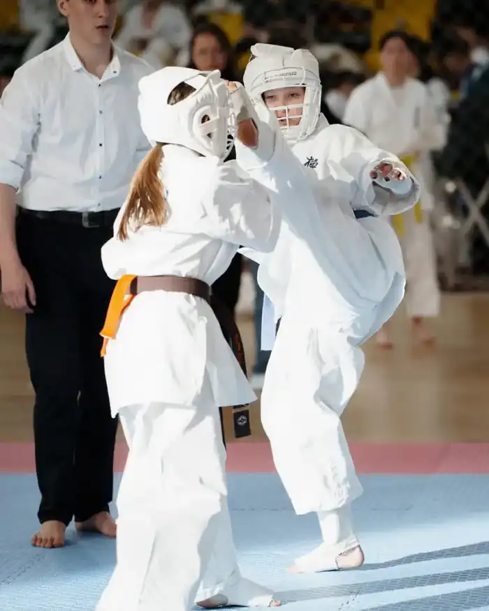 «Закон и порядок»: турнир по кёкушин будокай каратэ пройдет в Астане (3)