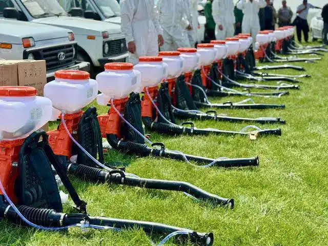 В ТУРКЕСТАНЕ УТВЕРДИЛИ ШТАБ ПО БОРЬБЕ С САРАНЧОЙ И ВЫДЕЛИЛИ 65 СЕКТОРОВ ДЛЯ КОНТРОЛЯ Астане