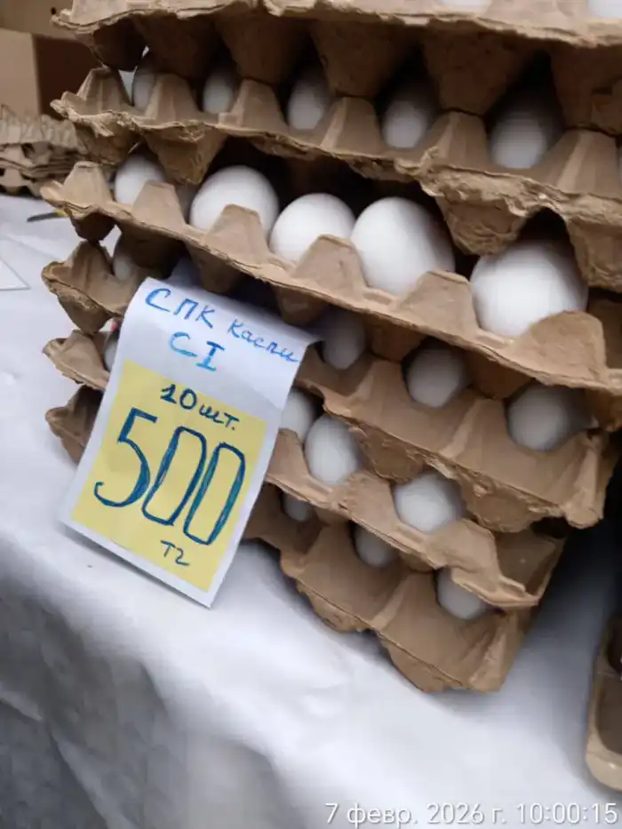 Участие стабилизационного фонда в ярмарке в Актау способствует снижению цен на картофель Астане