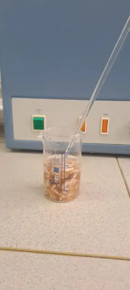 Инновационная технология сохранения шкур КРС и ее влияние на переработку Астане