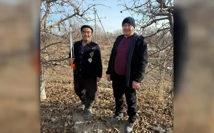 Бывший учитель математики из Жетісу использует математические методы для успешного ведения семейного сада Астане