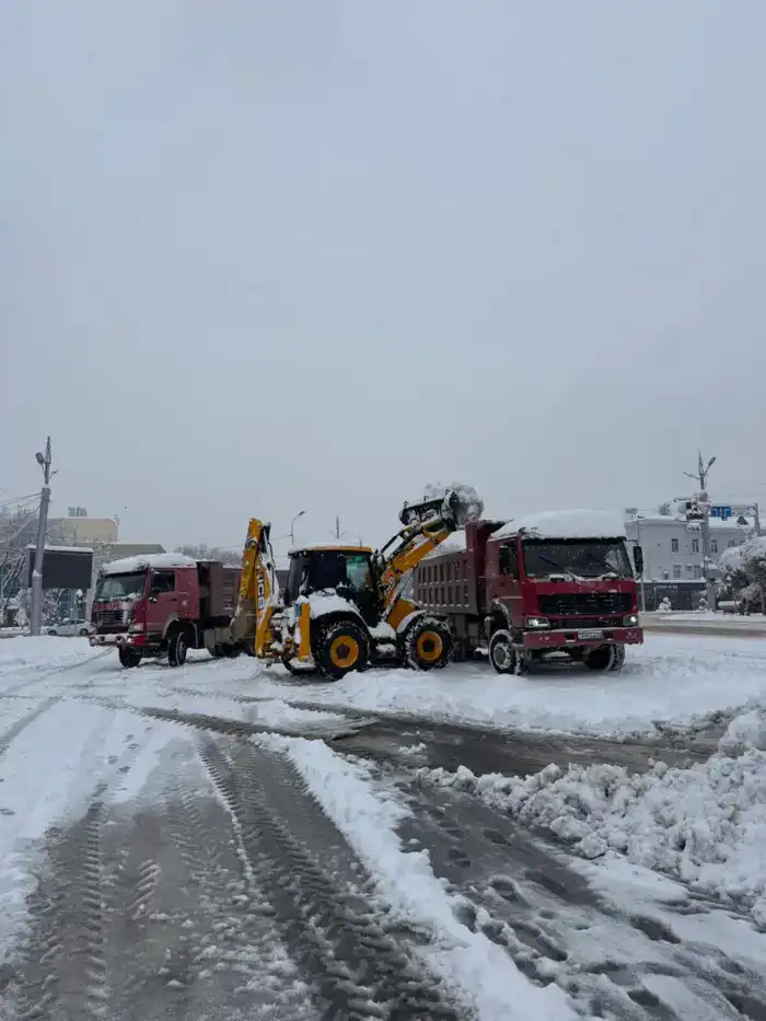 Из-за непогоды коммунальные службы Жамбылской области перешли на усиленный режим работы (2)