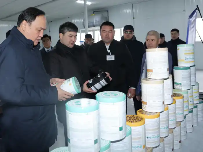 Социальное развитие Таласского района: инвестиции в образование и инфраструктуру Астане