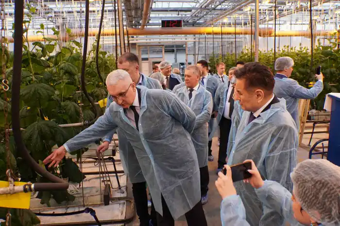 Делегация ВКО ознакомилась с работой крупнейшей теплицы в Барнауле (5)