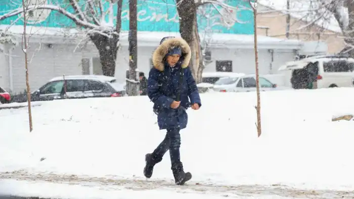 Часть школьников в Астане перейдёт на дистанционное обучение 13 февраля, согласно информации от пресс-службы акимата, переданной Tengri Education. Астане