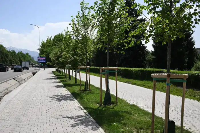 Увеличение зеленых насаждений в Алматы до 15 кв м на человека к 2030 году Астане