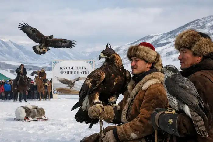 В ВКО стартовал II чемпионат по құсбегілік Астане