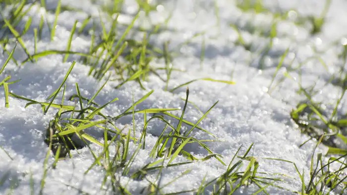 Астана и Алматы: ожидается потепление до +10 градусов Астане