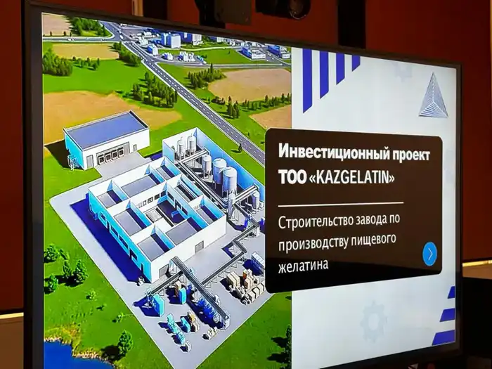 В Казахстане построят завод по производству пищевого желатина мощностью 10 тыс. тонн в год (2)