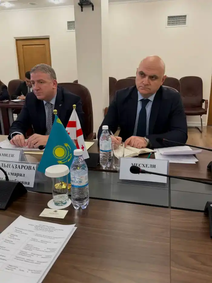 Казахстан и Грузия: новое сотрудничество в здравоохранении Астане