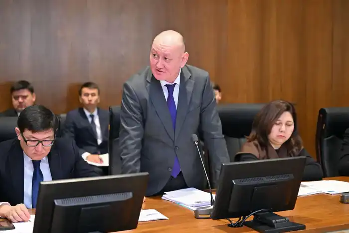 В области Абай рассмотрели вопросы подготовки к паводковому периоду (9)