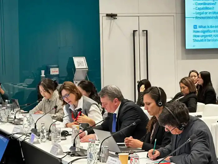 В Астане прошли рабочие консультации по разработке Национальной стратегии в области инноваций (2)