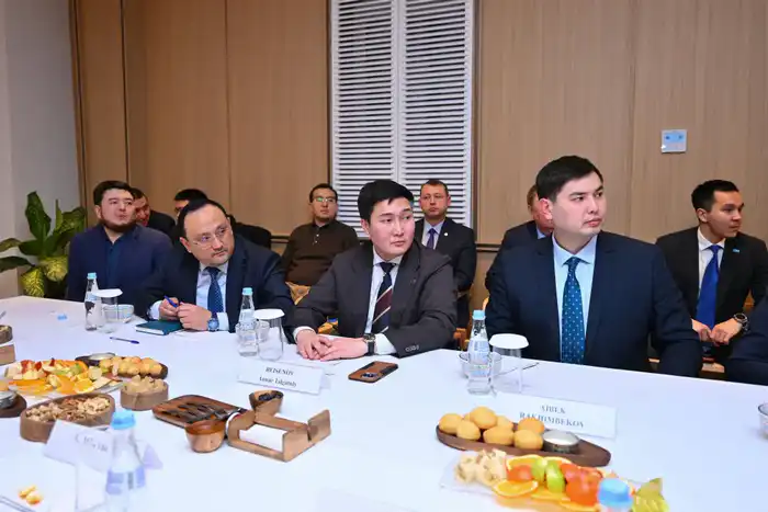 Аким области встретился с зарубежными инвесторами (10)