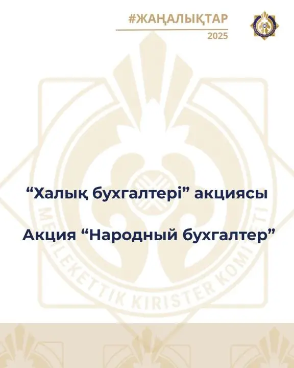 Бухгалтерские консультации для предпринимателей в городе Астане