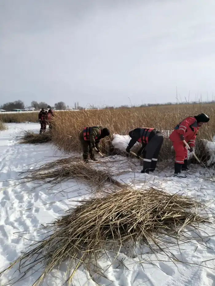 Подготовка к весеннему паводку в Актобе 2026 года Астане