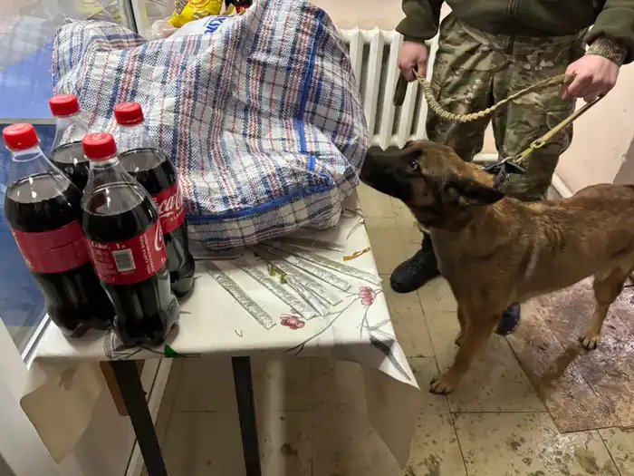 Осужденному в учреждении УИС по Кызылординской области пытались передать наркотики, спрятав их в ремне сумки (3)