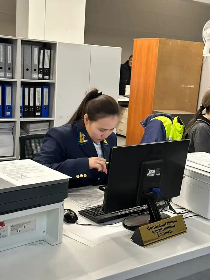 19 тонн груш возвращены в Бельгию из-за отсутствия фитосанитарного сертификата (3)