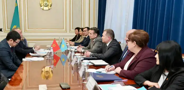 Товарооборот между ВКО и Кыргызстаном за год превысил 500 млн долларов (6)