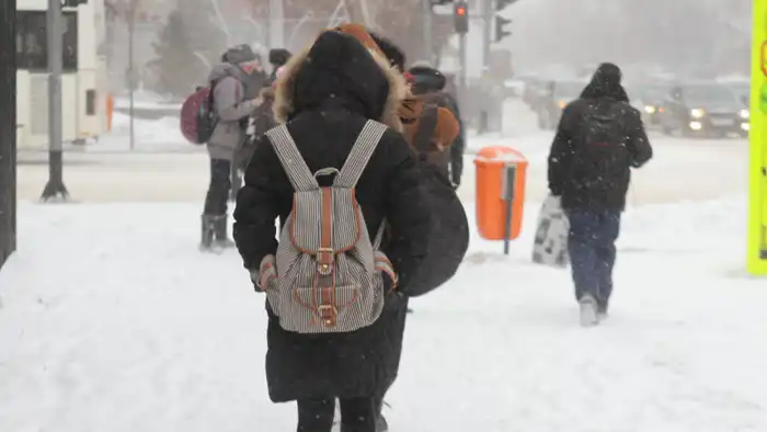 Астана: мороз и ветер отправили детей в онлайн-уроки Астане