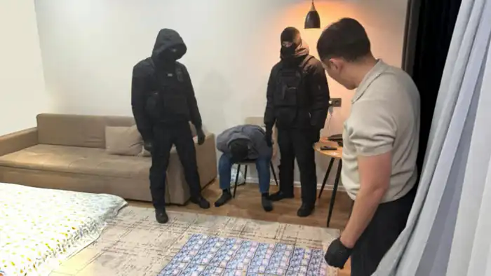 В Акмолинской области задержан продавец человеческого органа за 25 тысяч долларов Астане