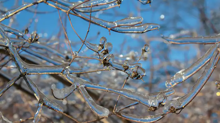 Синоптики Казгидромета предупреждают о морозном ударе в Астане и ледяном дожде в Алматы: прогноз на 26-28 февраля Астане