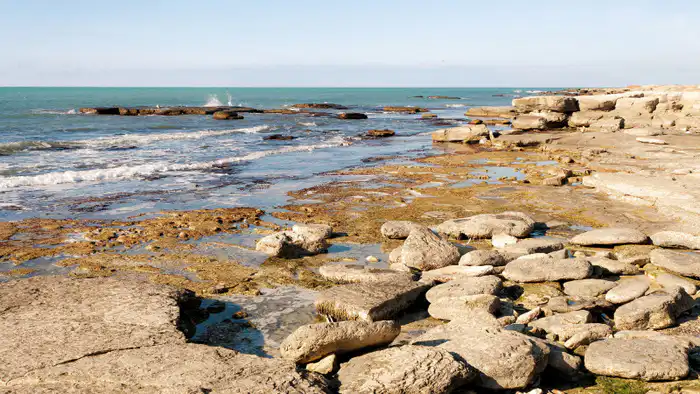 Международное сотрудничество: Казахстан выделяет 1,1 миллиарда тенге на изучение и сохранение Каспия Астане