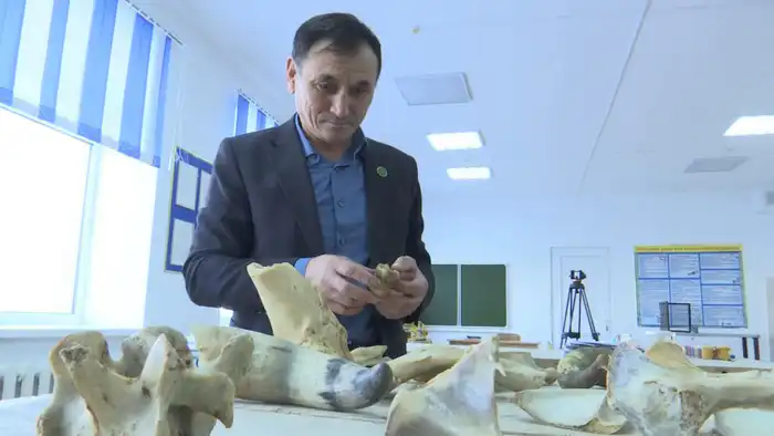 Казахстанский педагог Бирлик Солтан: 25 лет вдохновляет детей на изучение традиций через резьбу по кости Астане