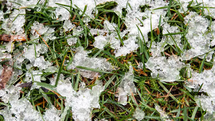 Сильные морозы в южном Казахстане: как погодные условия влияют на жизнь местных жителей Астане