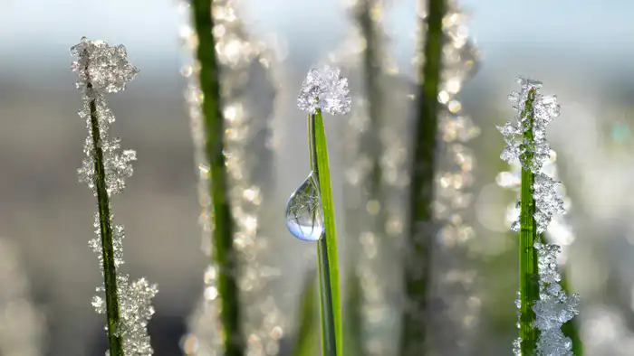 Казахстан: 51 год ждал, чтобы снова стать горячим! Астане