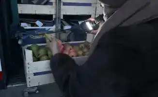 Груши в Бельгию: сертификата не хватило!