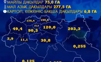 Посевная площадь в Актюбинской области 865 тыс. га