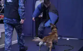 Влияние звезд КВН на молодежь: как интерактивные акции против наркотиков формируют здоровый образ жизни