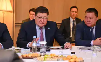 Инвесторы в солнечные панели: 22 млрд тенге на горизонте!