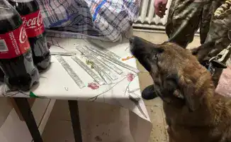 Попытка передачи наркотиков осужденному в УИС Кызылординской области провалилась благодаря сотрудникам и служебным собакам