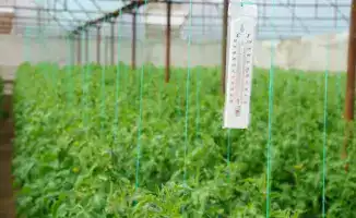 ТУРКЕСТАН: В ОРДАБАСИНСКОМ РАЙОНЕ ПЧЕЛЫ СТАНОВЯТ САДОВОДОВ НА ПУТЬ УСПЕХА