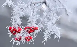 Казахстан в ледяном плену: 37-градусные морозы окутали страну, как зимний саван, по прогнозу синоптиков Казгидромета на 21-23 февраля.