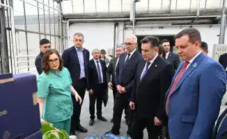 Теплица 'Алтайское': Оазис зелени в сердце Барнаула для делегации ВКО