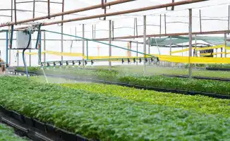 Успехи Туркестанской области в внедрении водосберегающих технологий способствуют устойчивому развитию сельского хозяйства и экономии водных ресурсов