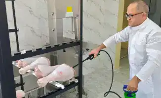 Ученые дарят птице вторую жизнь: новая технология увеличивает срок хранения мяса в три раза